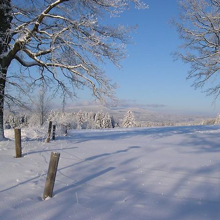 Luxury Apartment In Sumava Mountains Kristanov Zewnętrze zdjęcie